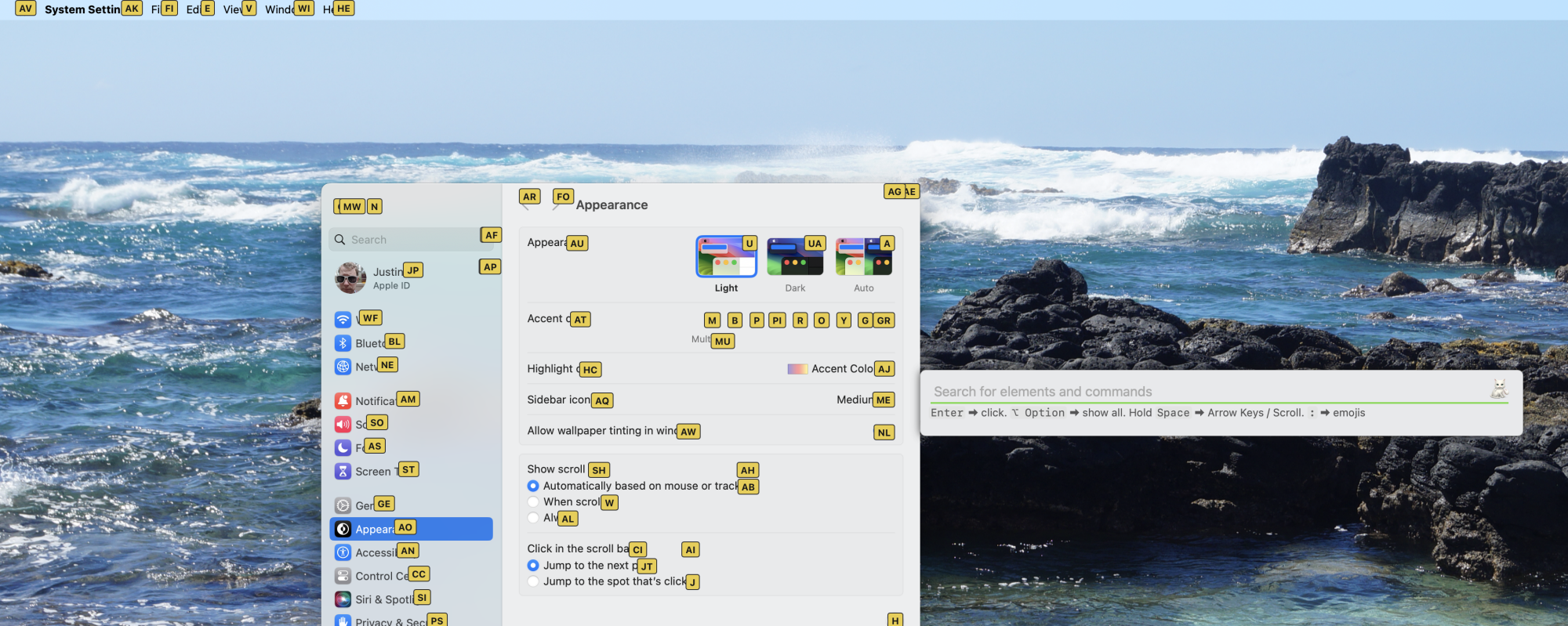 The Appearance section of System Settings on Mac, covered in yellow boxes with two letter codes. These allow you to quickly click anything in the window.