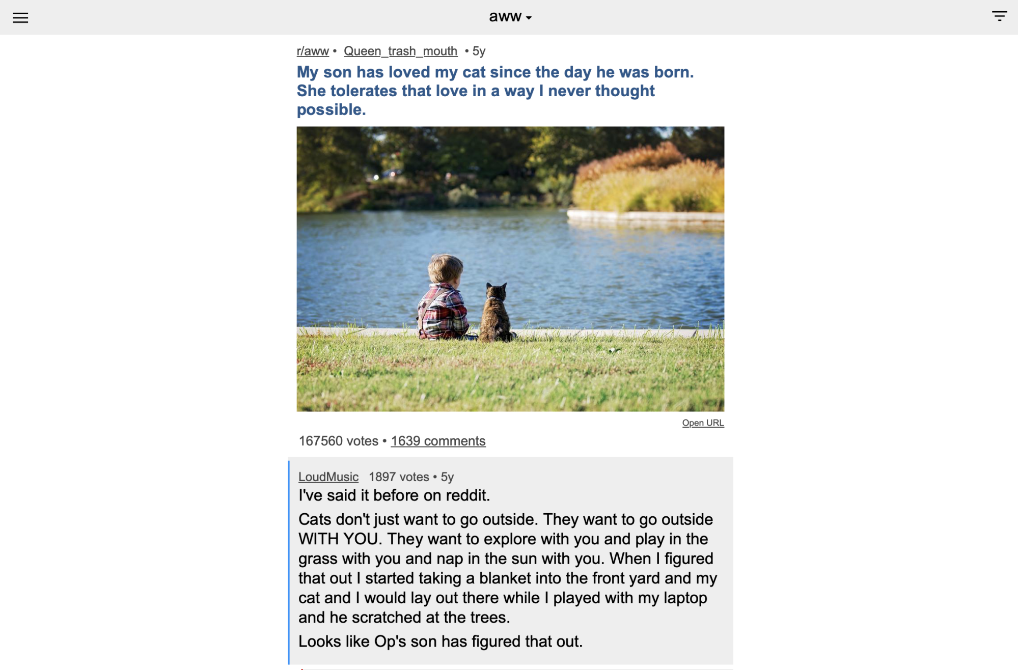 Another cute Reddit post, this time with a toddler and a cat sitting outside by a pond. There's a comment: Cats don't just want to go outside. They want to go outside WITH YOU. They want to explore with you and play in the grass with you and nap in the sun with you. When I figured that out I started taking a blanket into the front yard and my cat and I would lay out there while I played with my laptop and he scratched at the trees.