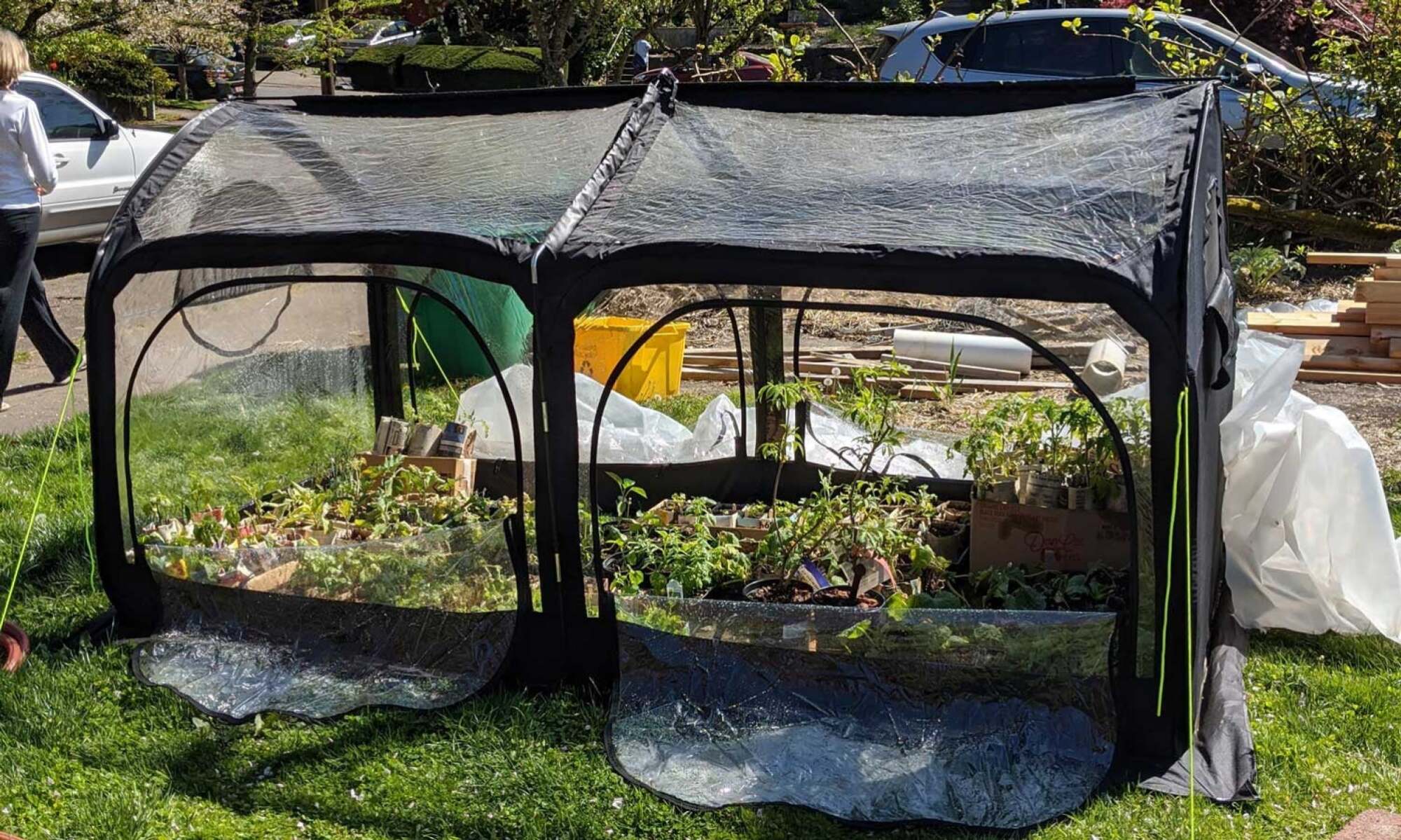 outdoor popup greenhouse